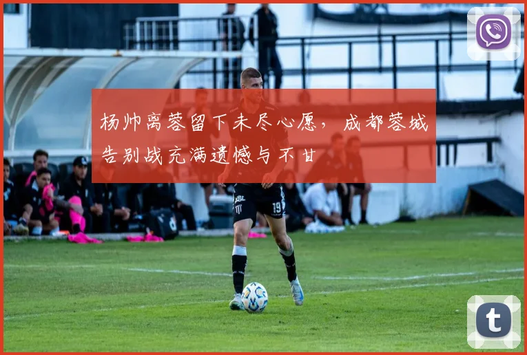 杨帅离蓉留下未尽心愿，成都蓉城告别战充满遗憾与不甘